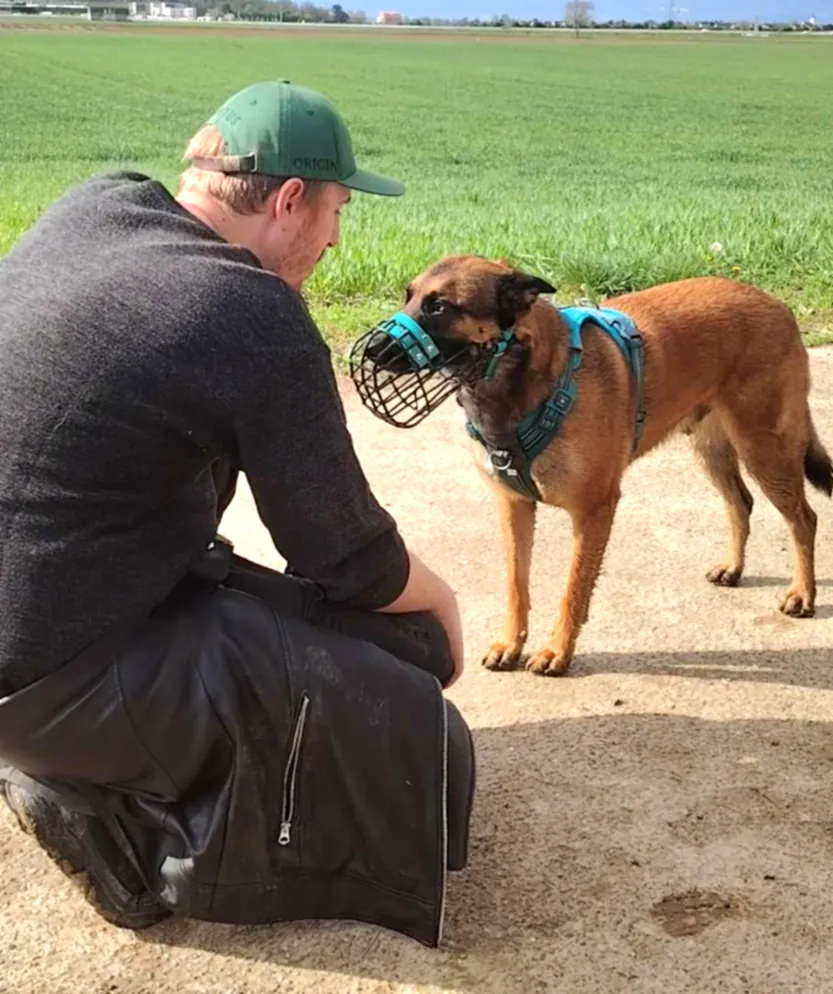 rééducation chien réactif Strasbourg comportement agressif EduWouaf