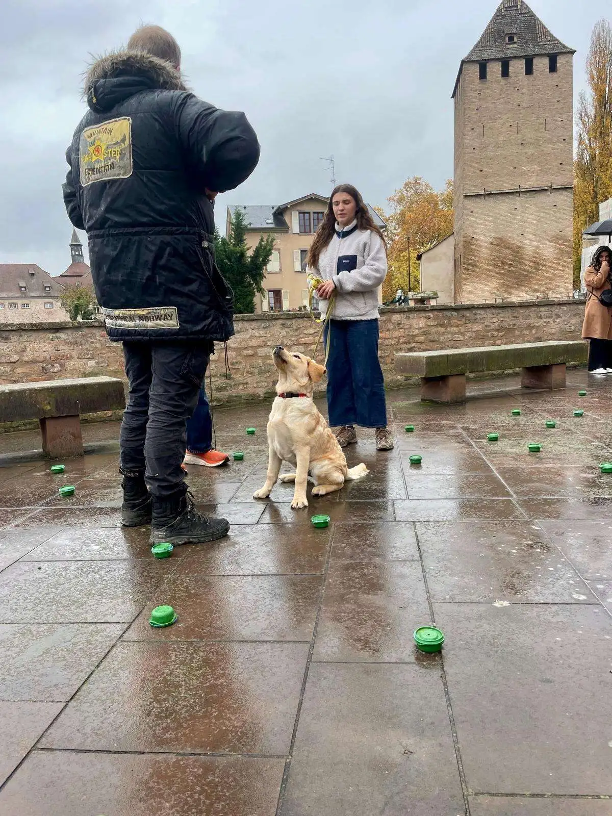 éducation chien Strasbourg obéissance exercice éducateur canin Alsace EduWouaf